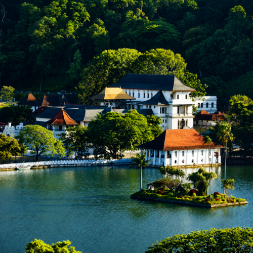 The Grand Sri Lanka Experience 8D7N