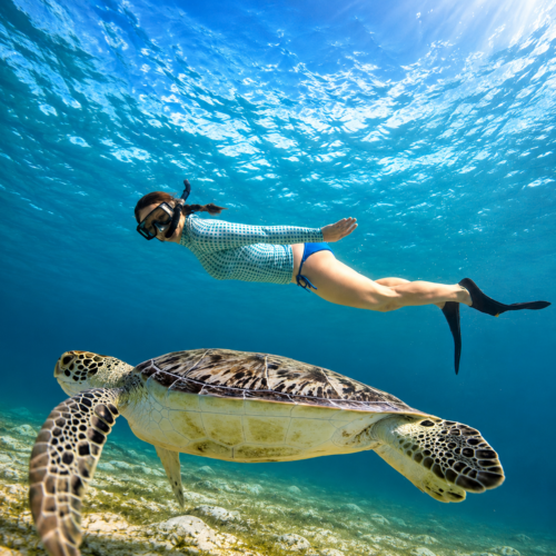 Explore Southern Sri Lanka 5D4N