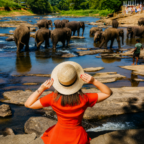 Ultimate Sri Lanka Discovery 7D6N